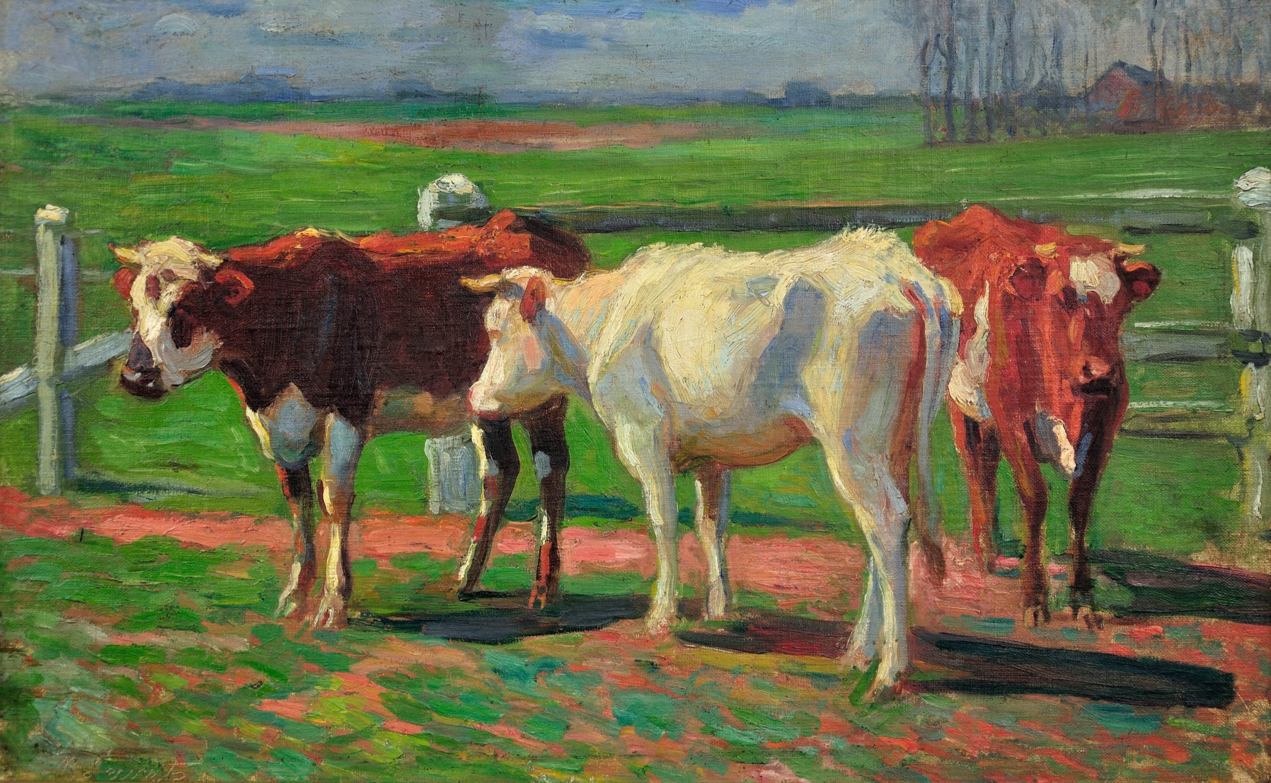 Vaches Normande ( Normandy Cows )